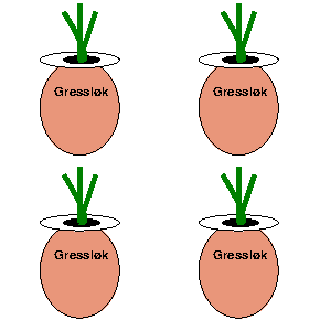 Skjermbilde av 371721 sin innlevering